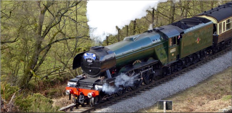 Flying Scotsman on the North York Moors Railway (NYMR) at Darnholm hauling the 12.30 from Grosmont