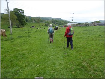 Crossing the pasture towards Sorrel Sykes Farm