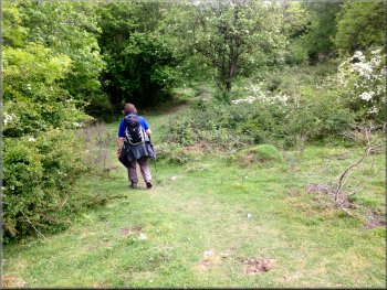 Path down through the limeston outcrops to Eggerslack Wood