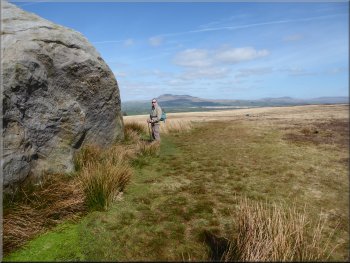 Looking at this large erratic boulder, the Great Stone of Fourstones
