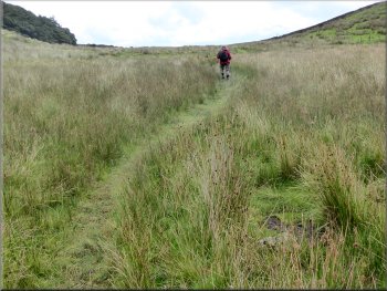 Path across the moor towards Hardraw