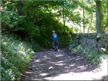 Following Morpeth Gate down the hillside