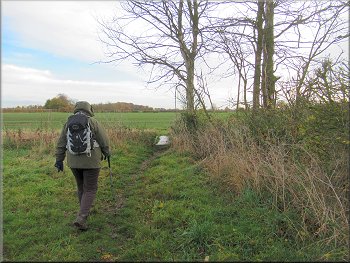 Nearing the footbridge over the ditch at the end of the field