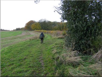 Following the track to the corner of Wath Wood
