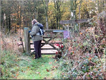Bridleway gate to join the Centenary Way