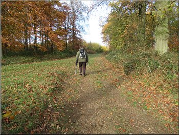 Following the Ebor Way route to the edge of the wood