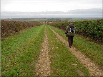 Continuing along the Ebor Way route across the fields
