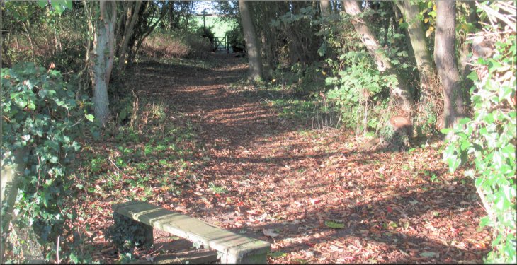 Path through the narrow woodland strip to the turning at the path by the kissing gate ahead