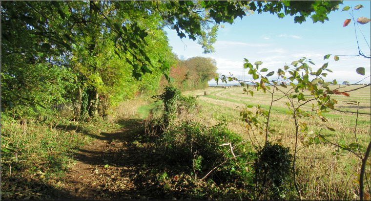 Public footpath, called Maiden Grieve Balk, heading northwards to Broughton Road, B1257