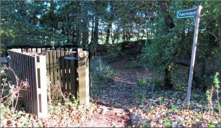 Kissing gate on the far side of Broughton Road, by-passed by the path!