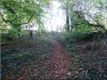 Path through the wood to join Broughton Green Lane