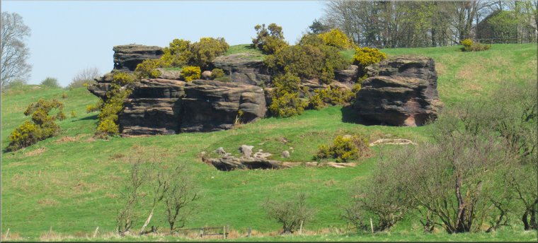 One of the many impressive gritstone outcrops seen across the Crimple Valley