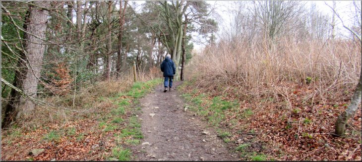 Following the Blue Route up towards the site of the hill fort