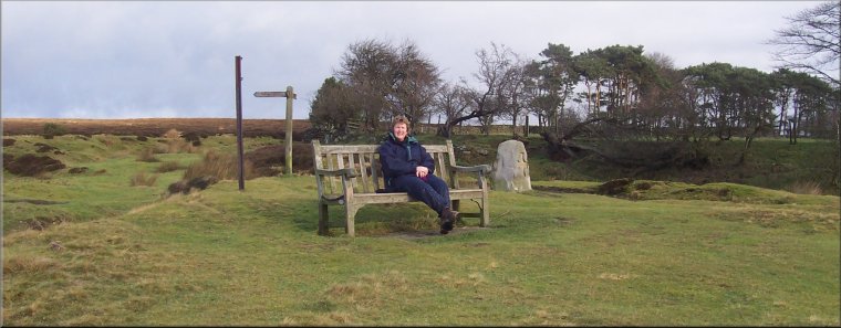 Seat by the Millennium Stone above Lastingham