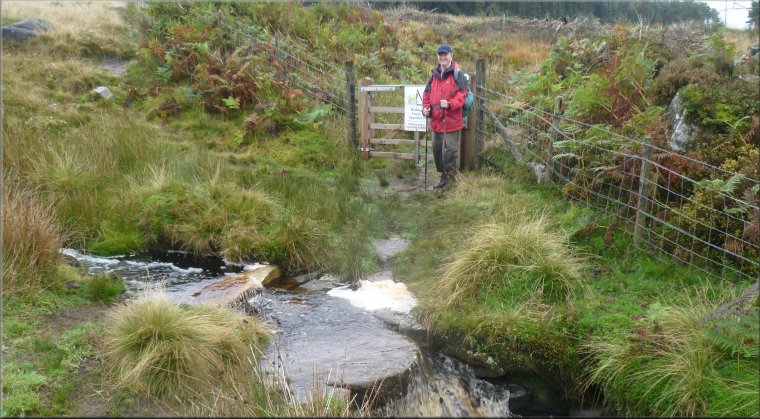 Bridleway coming from Hamer Moor across the stream, through the gate and into the Cropton Forest
