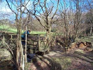 Footbridge in the valley below Moor Gate