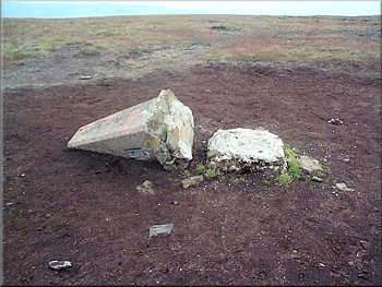 Fallen trig point on Brown Knoll