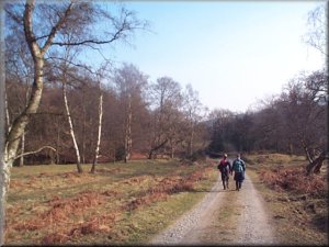 Leaving East Moor Wood