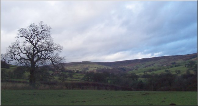 Looking up Farndale from the West Gill