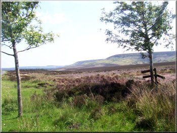 Looking back to Great Arden Moor from the road near the car park
