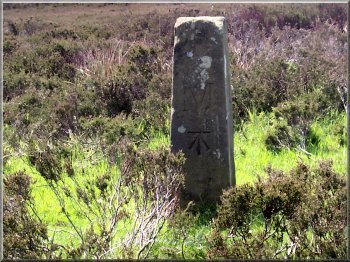 Boundary post with bench mark by the road near the car park