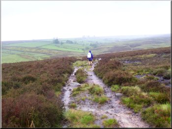 Moorland track above Ladhill Beck