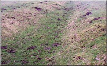 The monks' trod is just a sunken track across the rough pasture