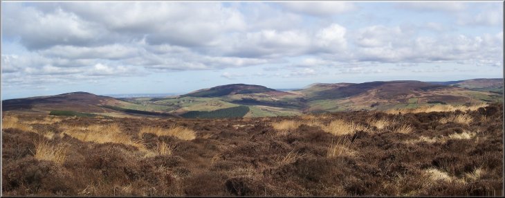 Cringle Moor from Barker's Ridge