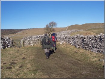 Leaving Grassington on a walled track heading north