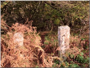 Old stone gate posts at the top of the bank