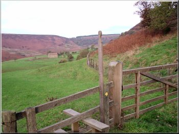 Looking to Low Horcum farm