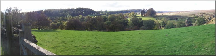 Fields and woods at Lastingham