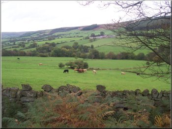 Looking across rosedale from the path above the river Seven