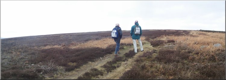 Heading over the moor toward Fangdale Beck