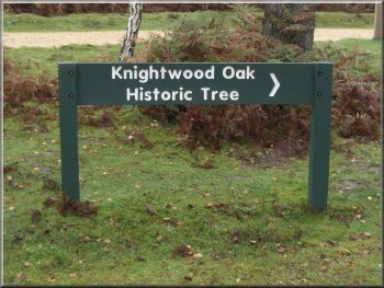 Heading for the Knightwood Oak