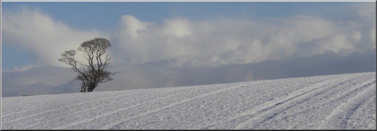 Winter landscape above Pickering