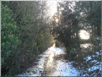 Lowe Lane - track into Pickering