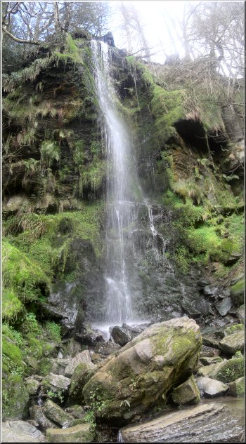 Mallyan Spout waterfall