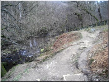 Path up from the West Beck to the road at Goathland