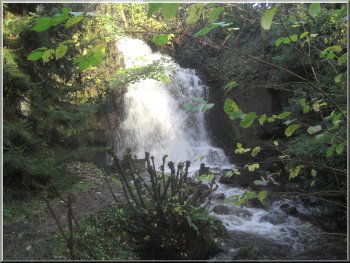 Waterfall on Harmby Mill Beck below the A684 at Harmby