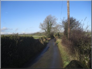 The lane leading to Cow Close farm
