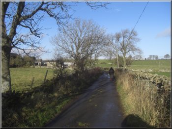 The lane leading to Cow Close farm