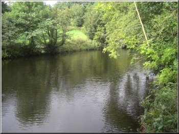 River Nidd by Conyngham Hall car park