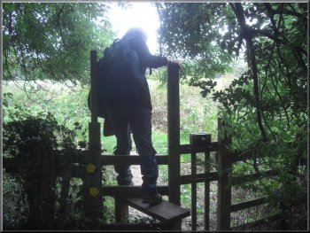 Climbing a stile at Brown Hill Wood