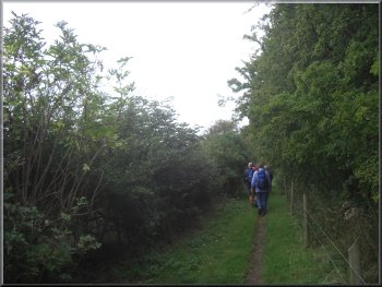 Path along the side of Birkham Wood