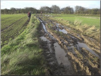 Muddy track where the survey team were working