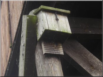Bat box on one of the hide legs