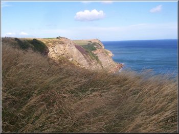 Cliffs from the Cleveland way path
