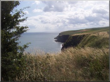 liffs from the Cleveland way path