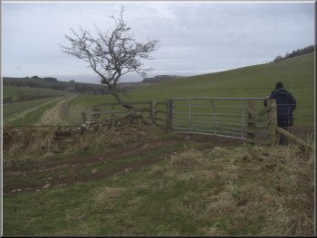 Gate from the farm track to the field path
